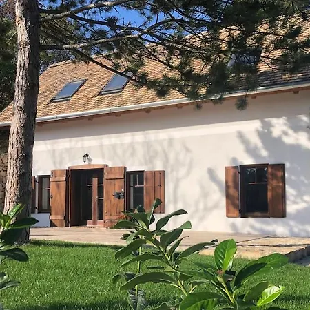 Villa Pirk Vendeghaz *